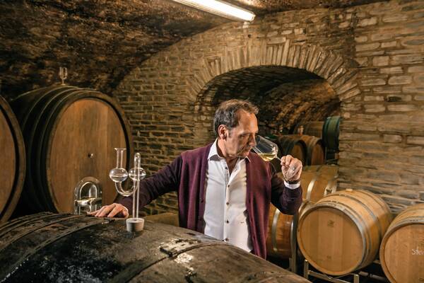 Montag | Weinprobe Weingut Markus Molitor