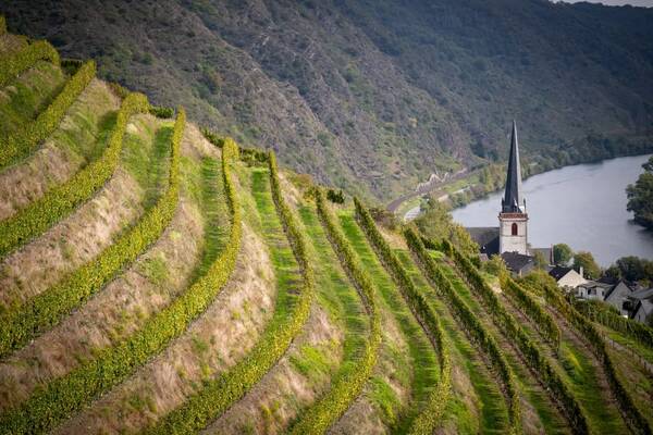 Dienstag | Weinprobe Weingut Dr. Loosen